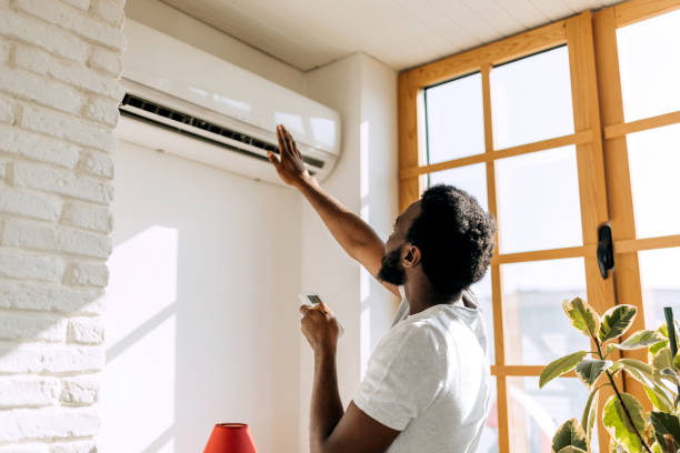 Best Best HVAC companies  in Long Lake, MN