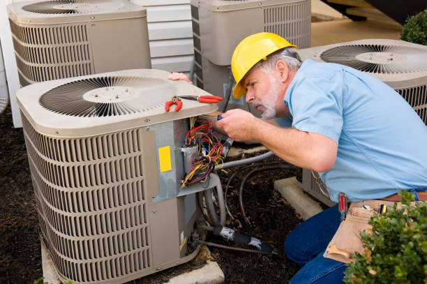 Best HVAC tune-up services  in Long Lake, MN